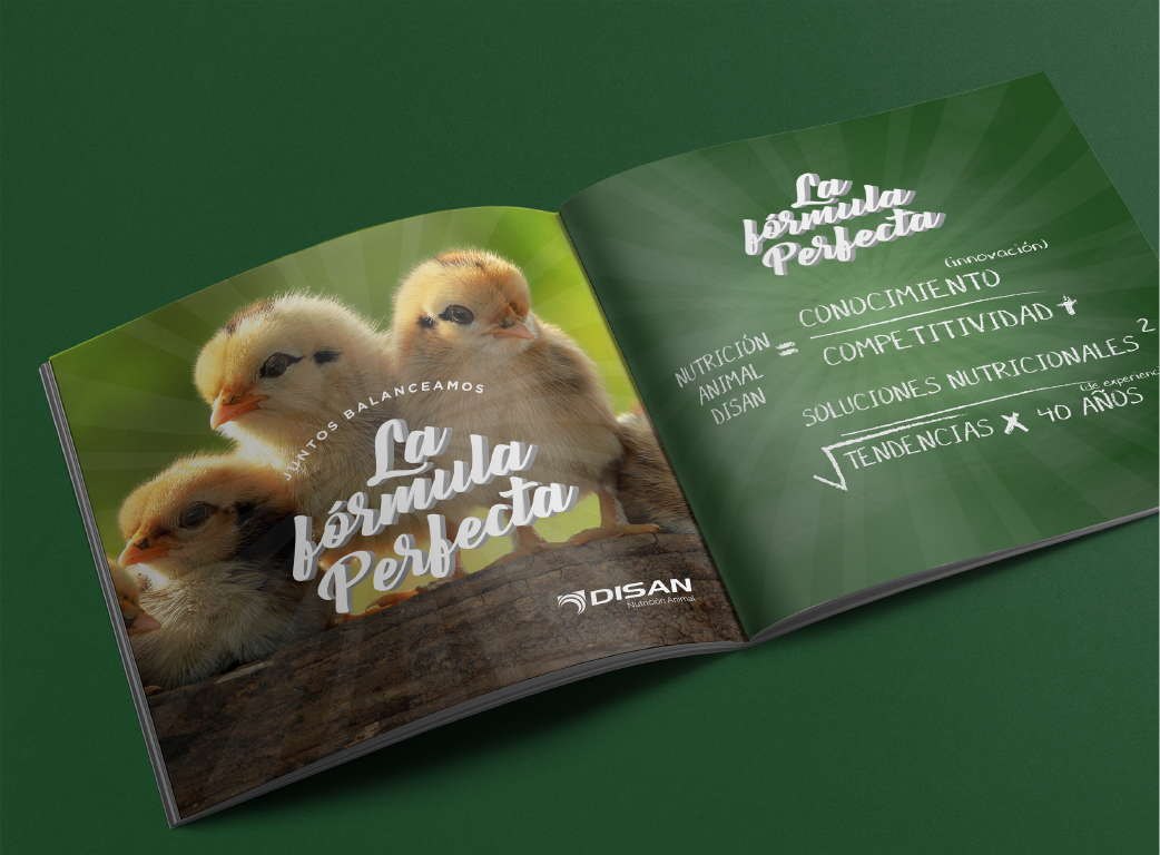 booklet_Mesa de trabajo 1 copia