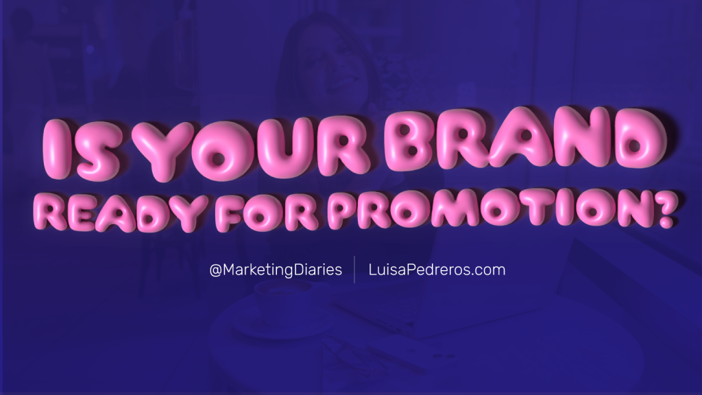 Entrepreneur meeting with a marketing expert to assess brand readiness for promotion, discussing strategies, website quality, and organic engagement.